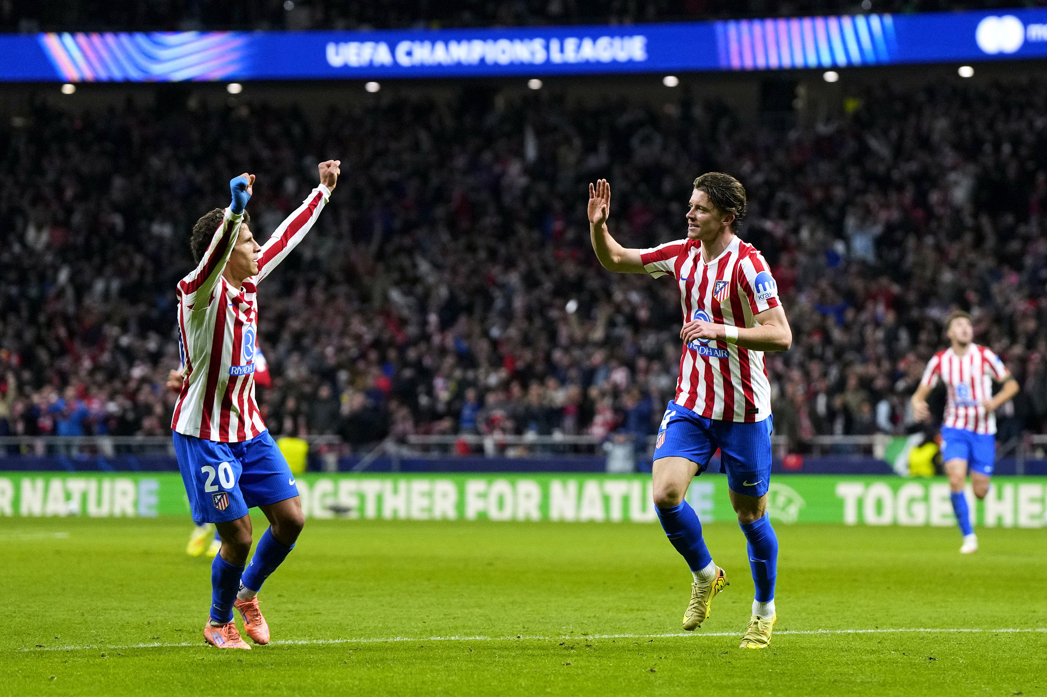 Sorloth si allontana dalla Juventus: il Fenerbahce accelera