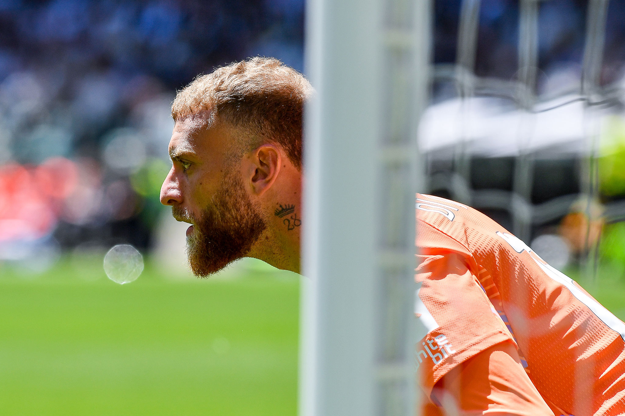 Dubbi su Di Gregorio, la Juventus valuta quattro portieri per il futuro della porta