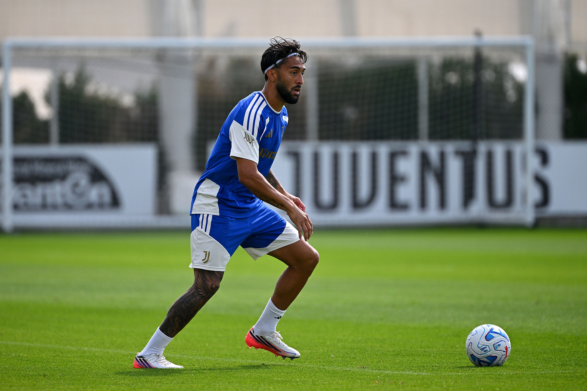 ✗ Gambelli: "Juve competitiva per vincere. Nico Gonzalez sarà l'acquisto fondamentale"